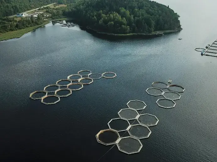 渔业与水产养殖