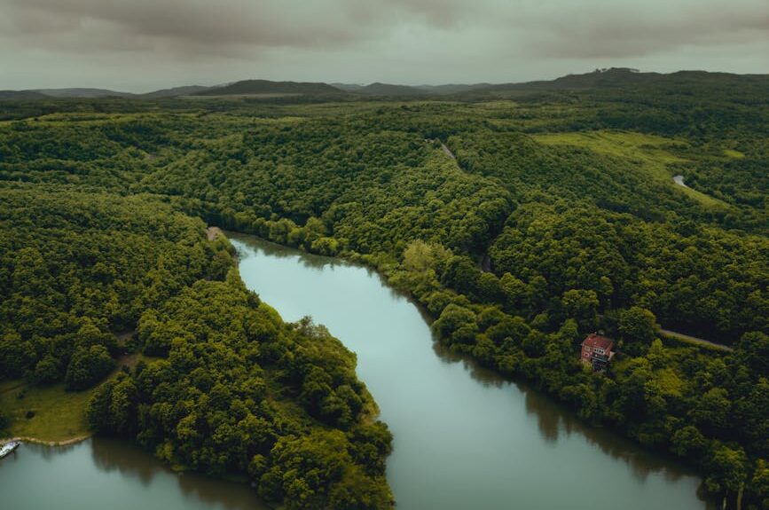 Aerial view of a river winding through lush forests near Istanbul, Türkiye.