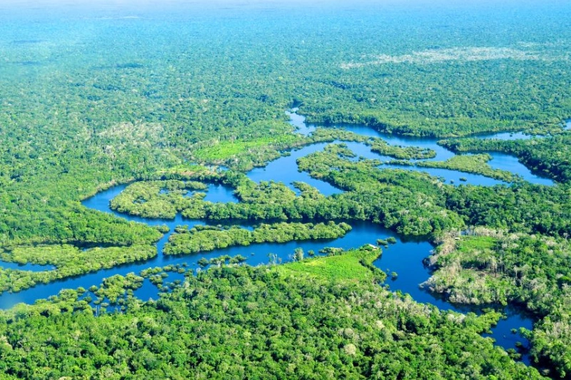 Amazon River