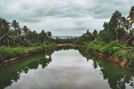 river landscape with lush greenery and coconut trees in Baganga, Davao Region.