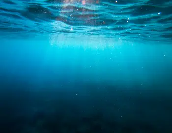 ocean acidification research