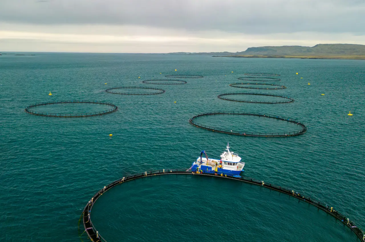 Aquaculture Current Monitoring