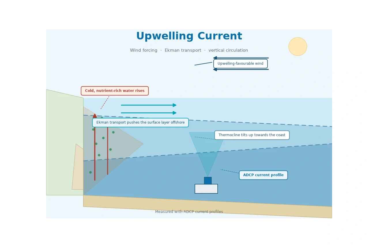 ADCP used in upwelling current
