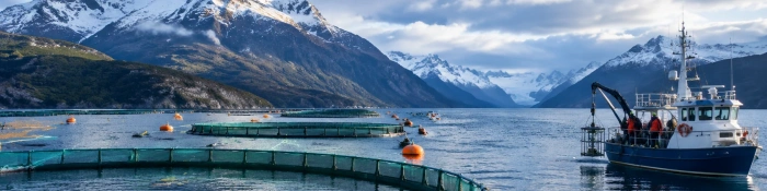 Related case banner strait-of-magellan-aquaculture